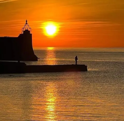 T2-au Calme-terrasse-place De Parking Attitree Collioure